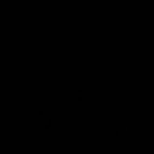 Meet your Posher, Nery